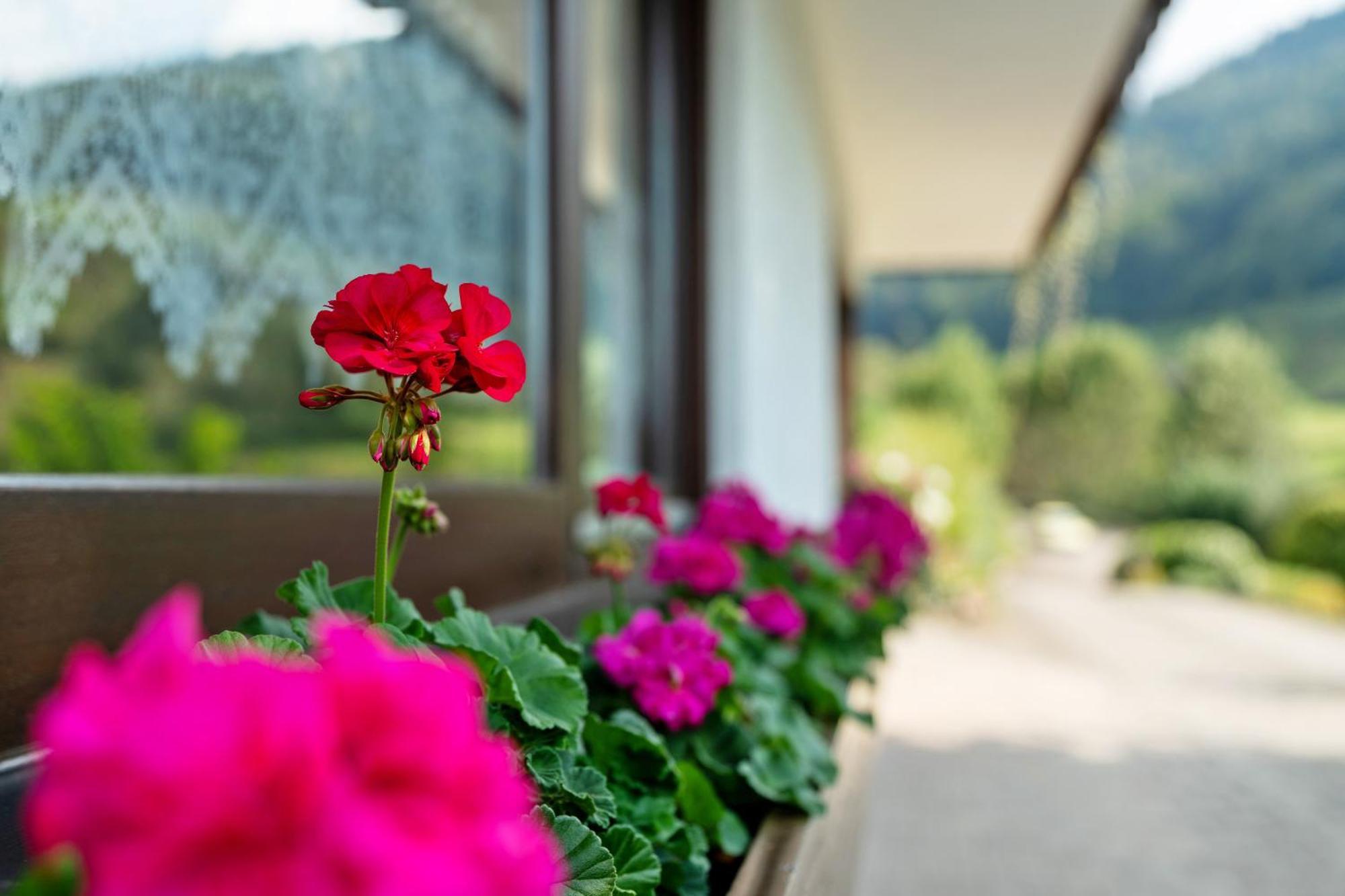 Haus Schindler Apartamento Ottenhofen im Schwarzwald Exterior foto