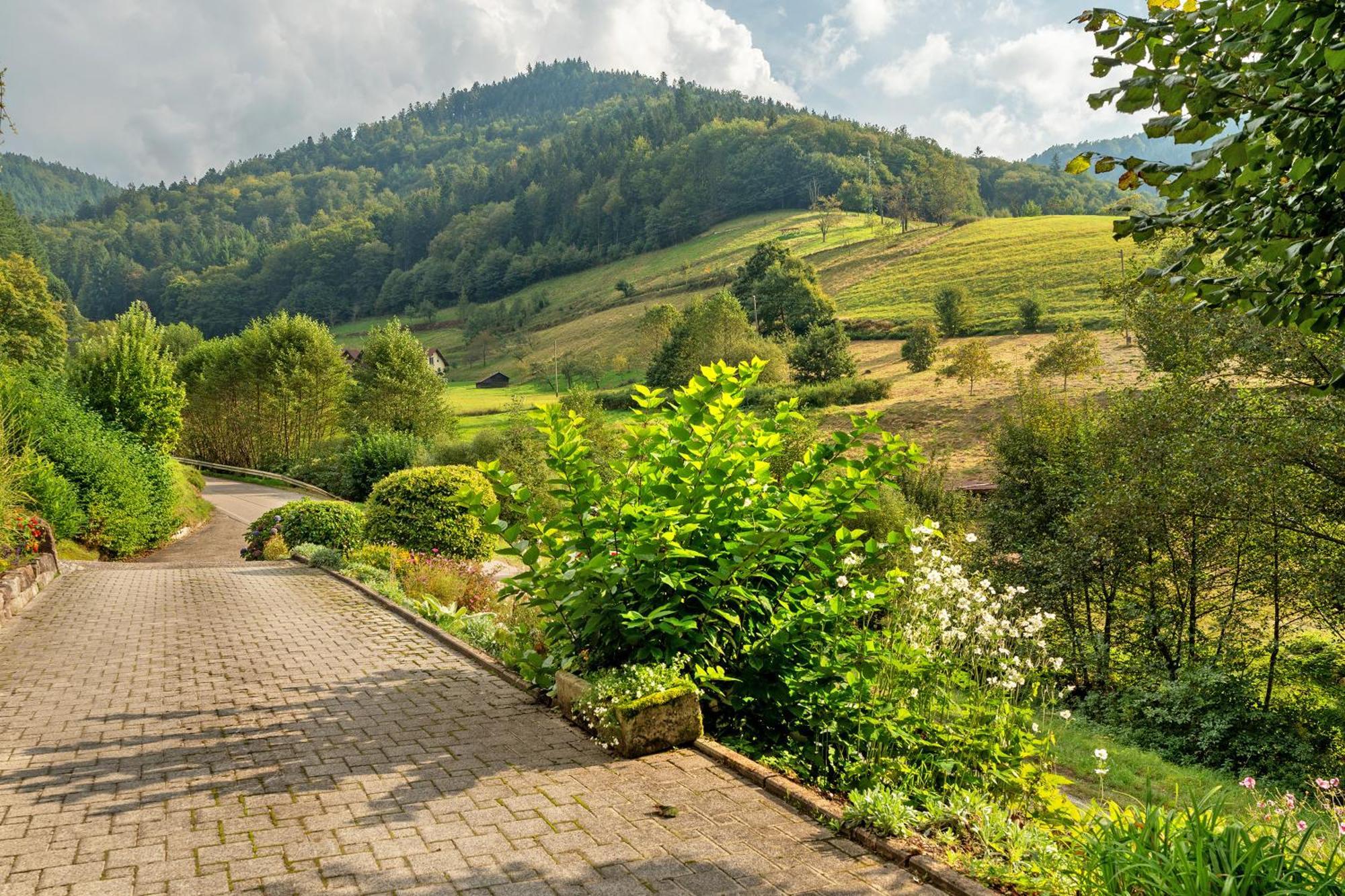 Haus Schindler Apartamento Ottenhofen im Schwarzwald Exterior foto