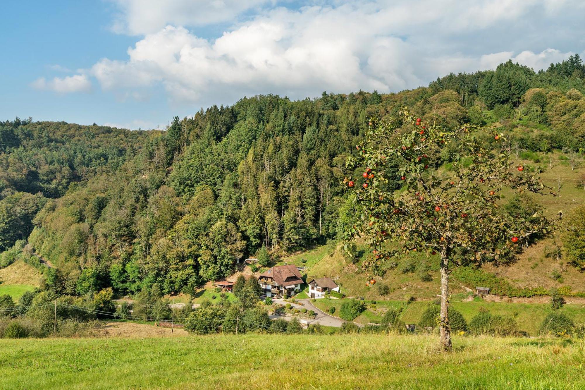 Haus Schindler Apartamento Ottenhofen im Schwarzwald Exterior foto